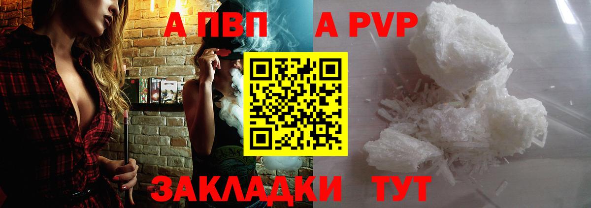 Alfa_PVP СК Нижний Новгород