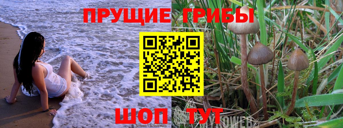 Галлюциногенные грибы Cubensis Нижний Новгород